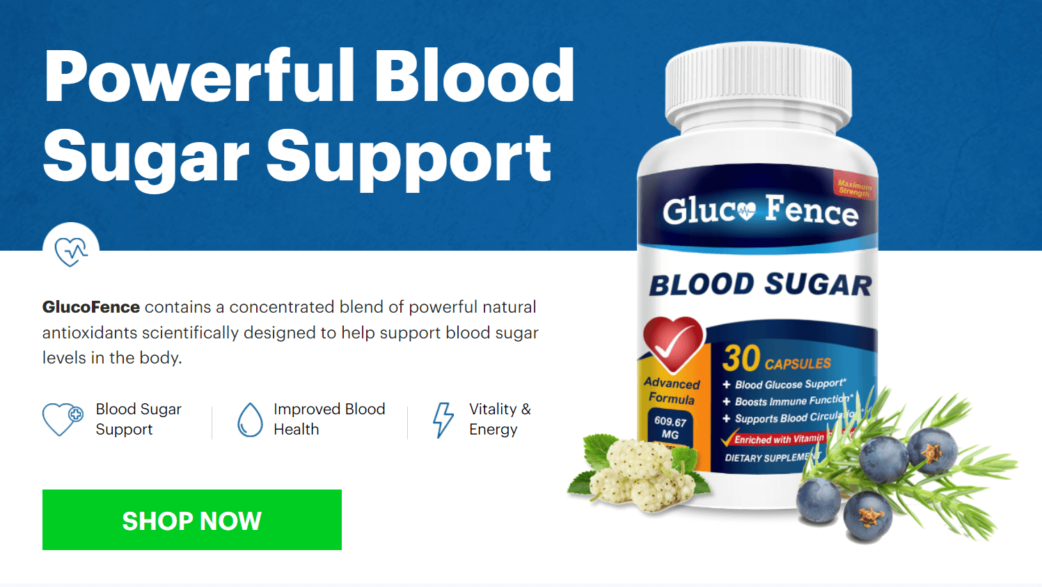 GlucoFence™ Blood Sugar Support | Official Website